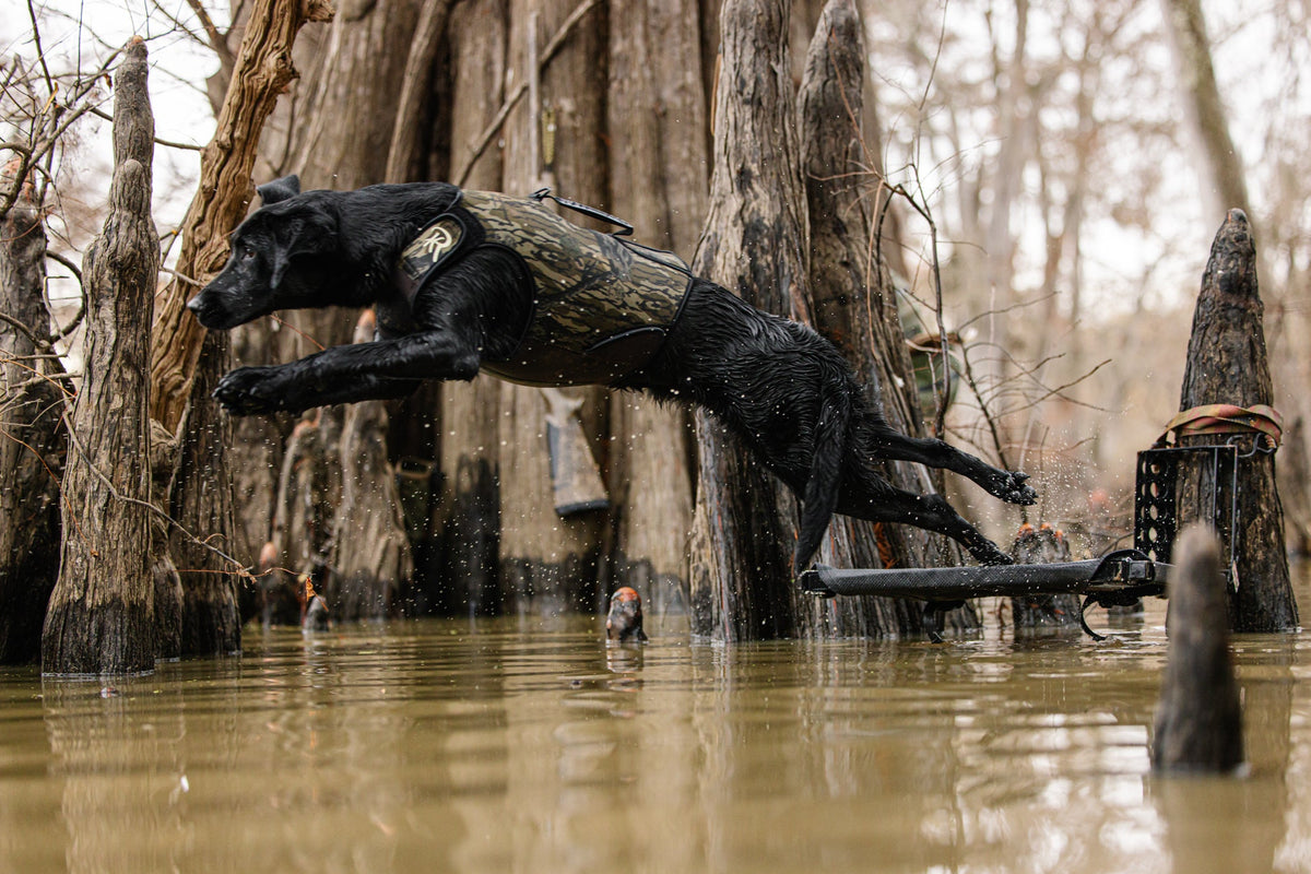 Cold Water, Long Sits: How to Actually Keep a Retriever Warm in the Blind