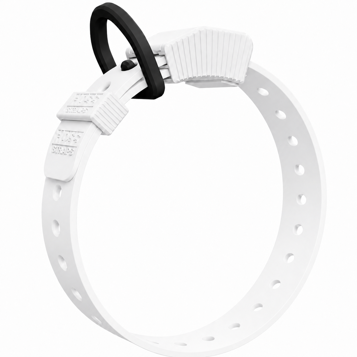 D-Ring Dog Collar