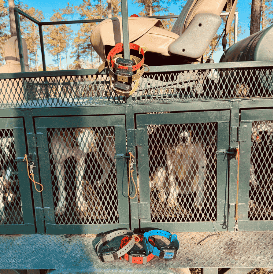 Training Collar Setup