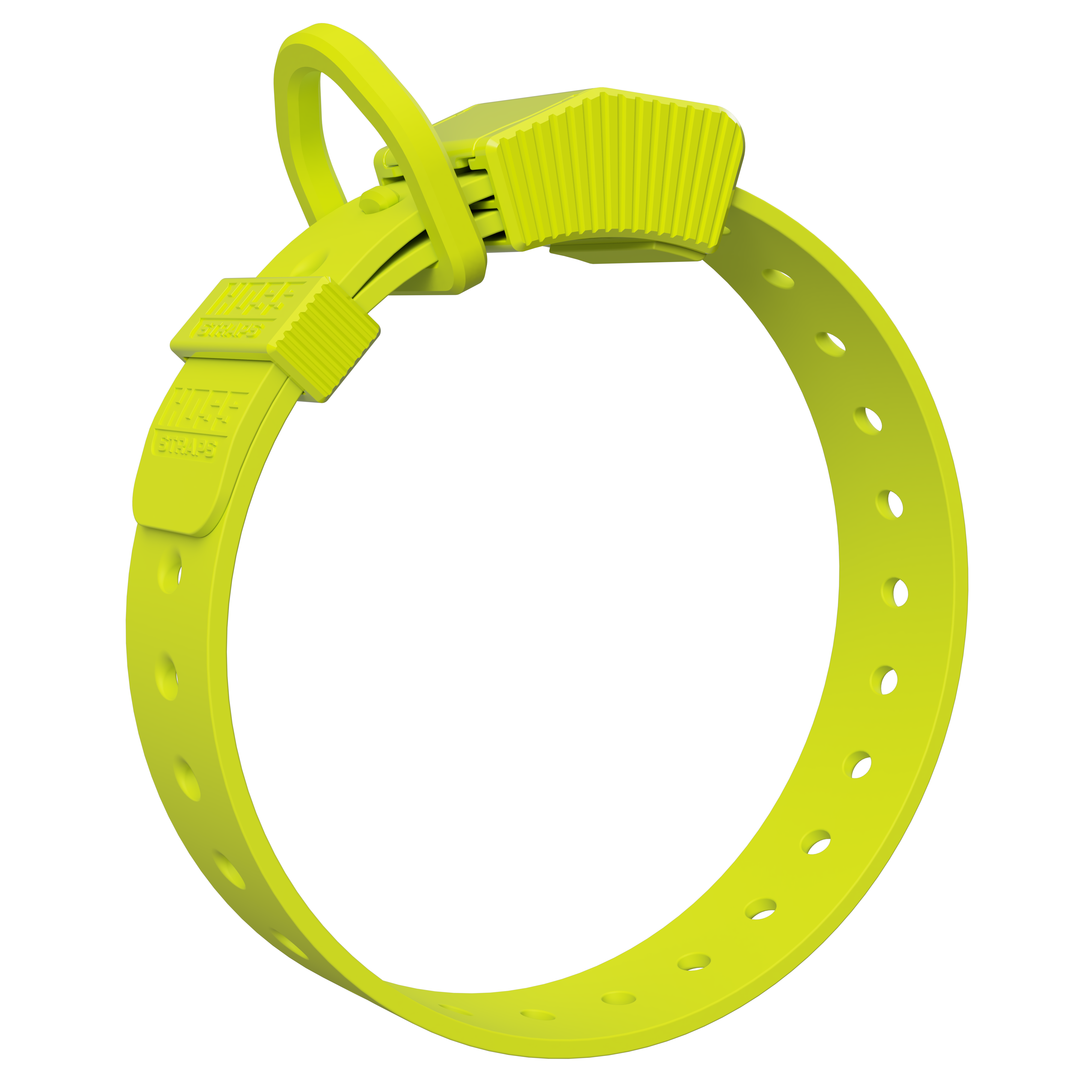D-Ring Dog Collar