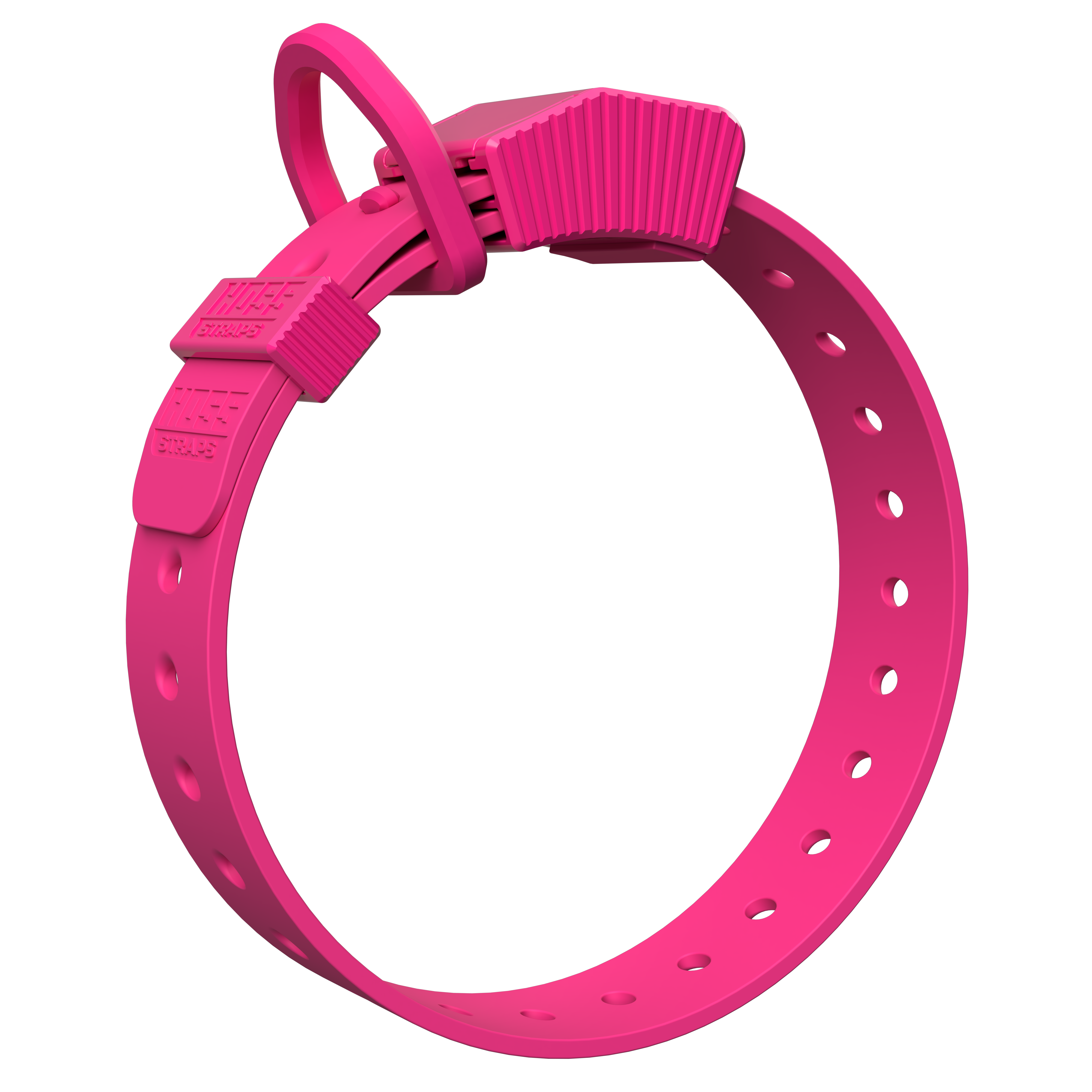 D-Ring Dog Collar