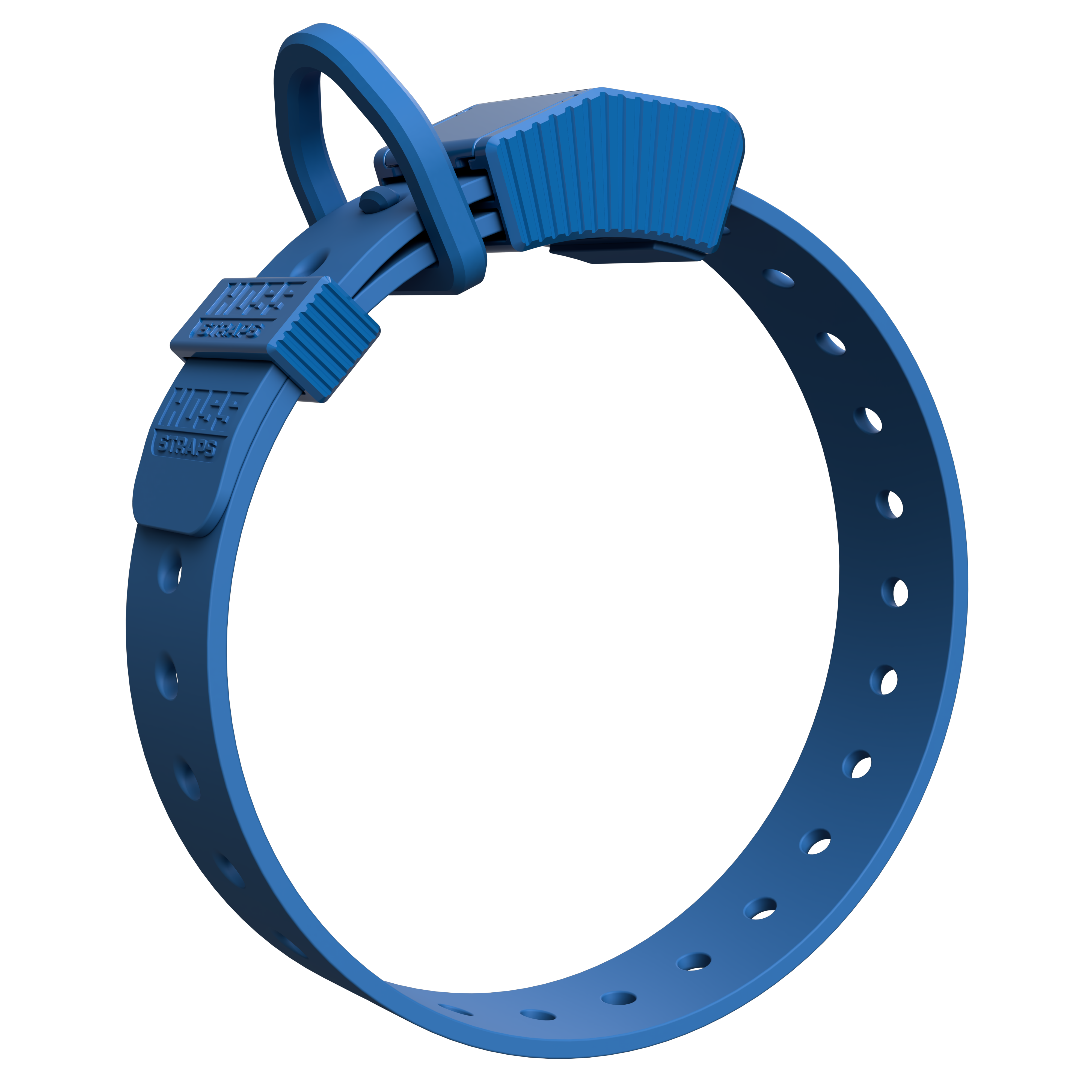 D-Ring Dog Collar