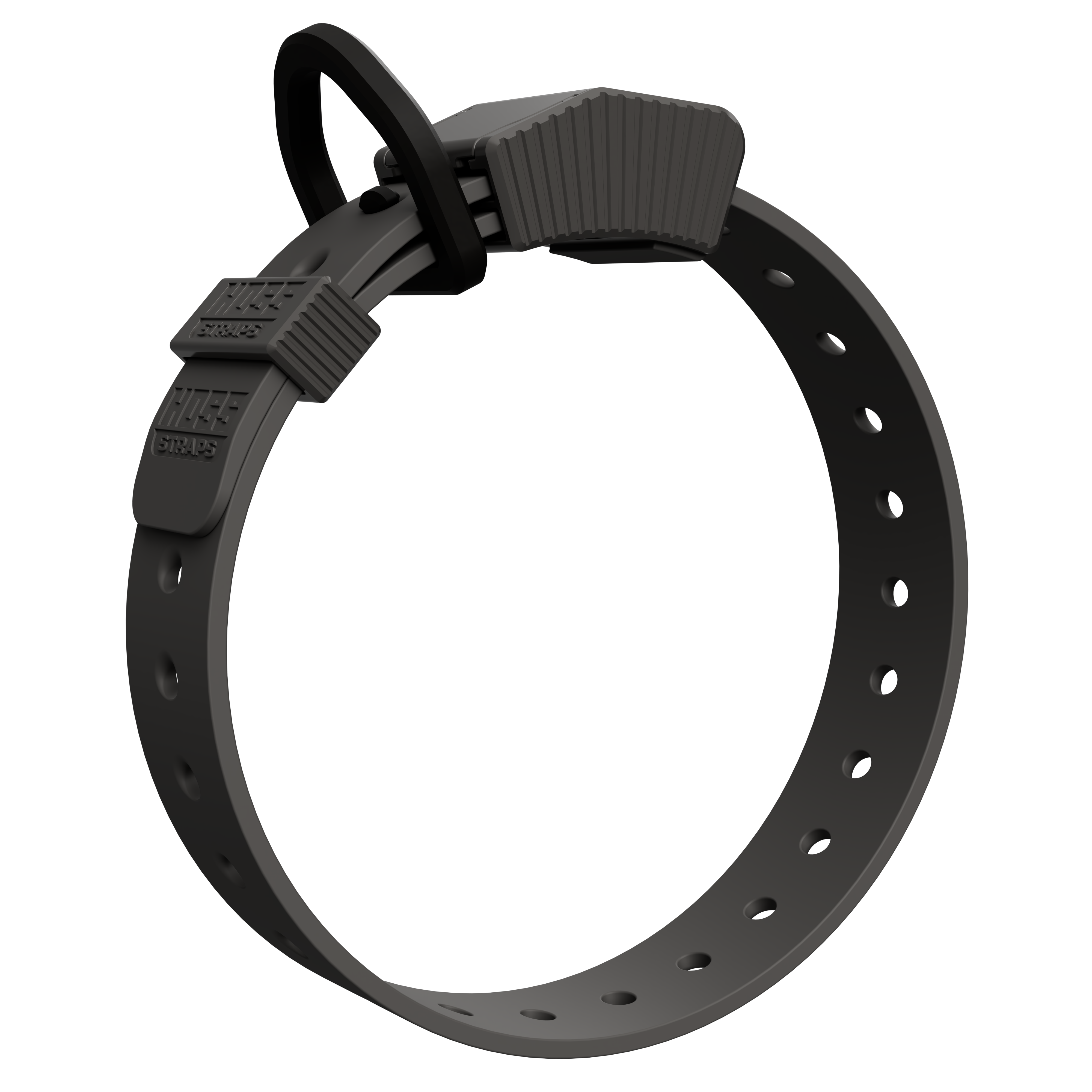 D-Ring Dog Collar