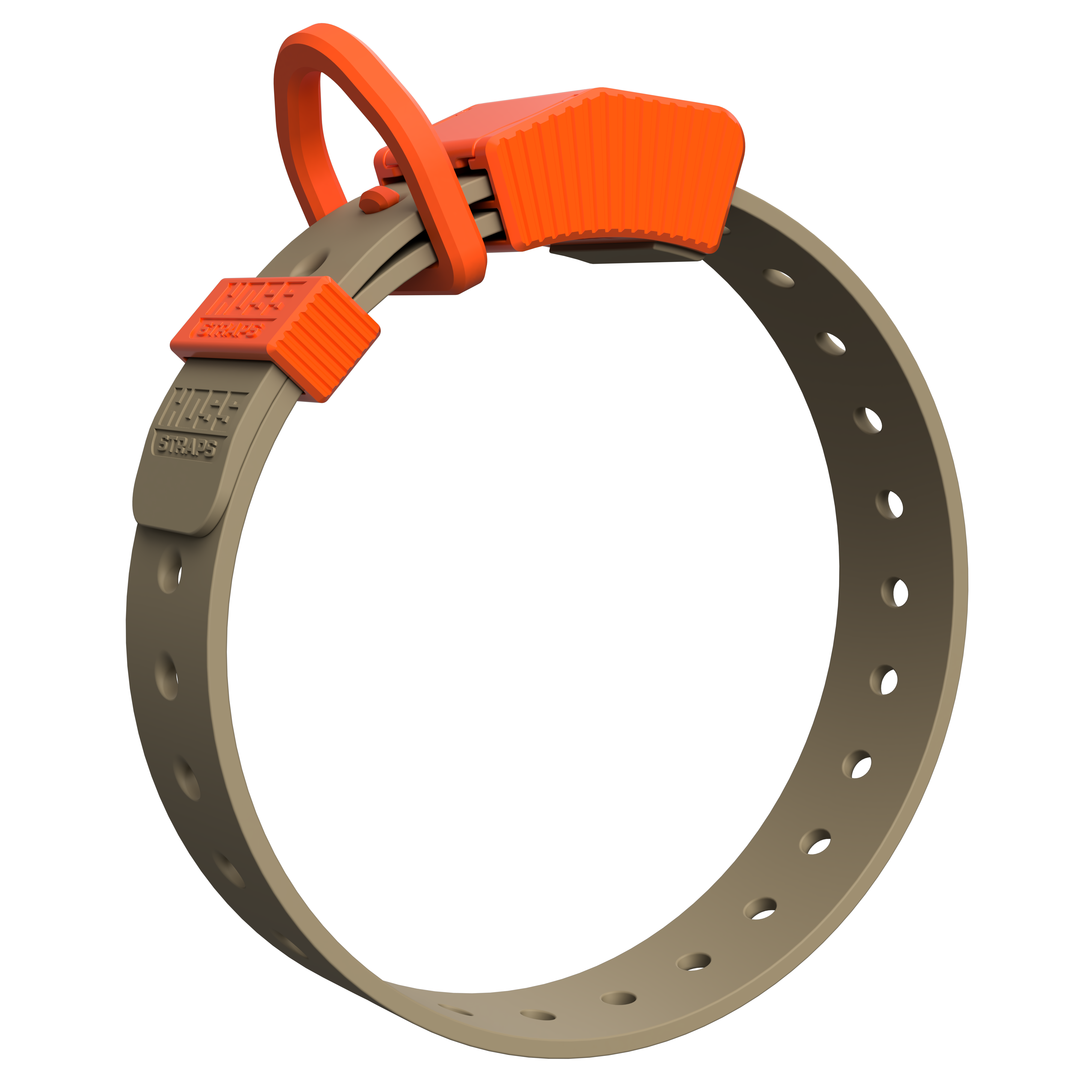 D-Ring Dog Collar