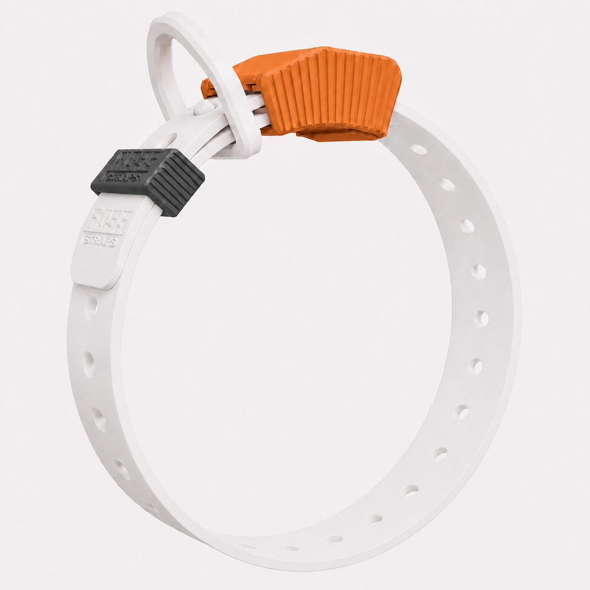 D-Ring Dog Collar
