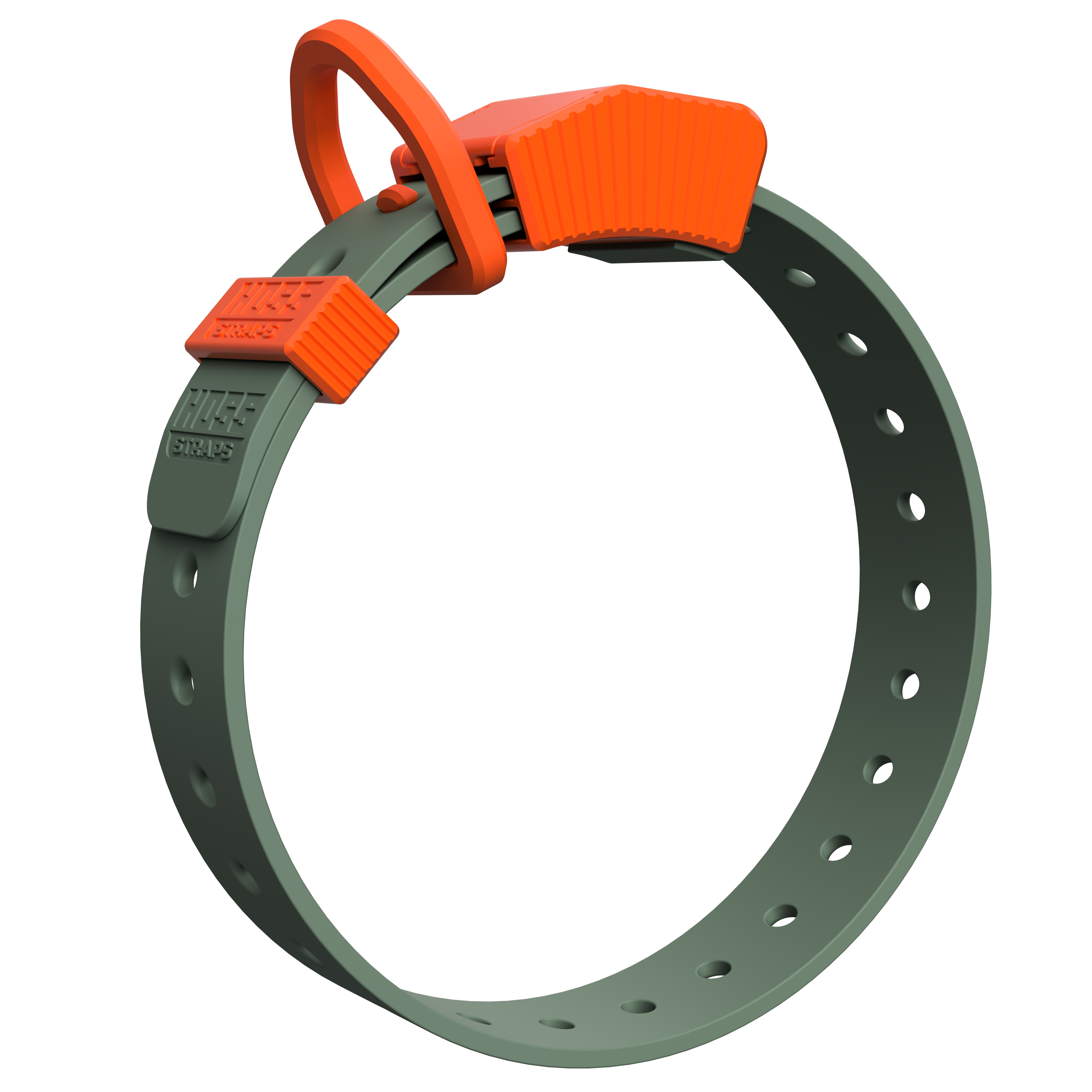 D-Ring Dog Collar