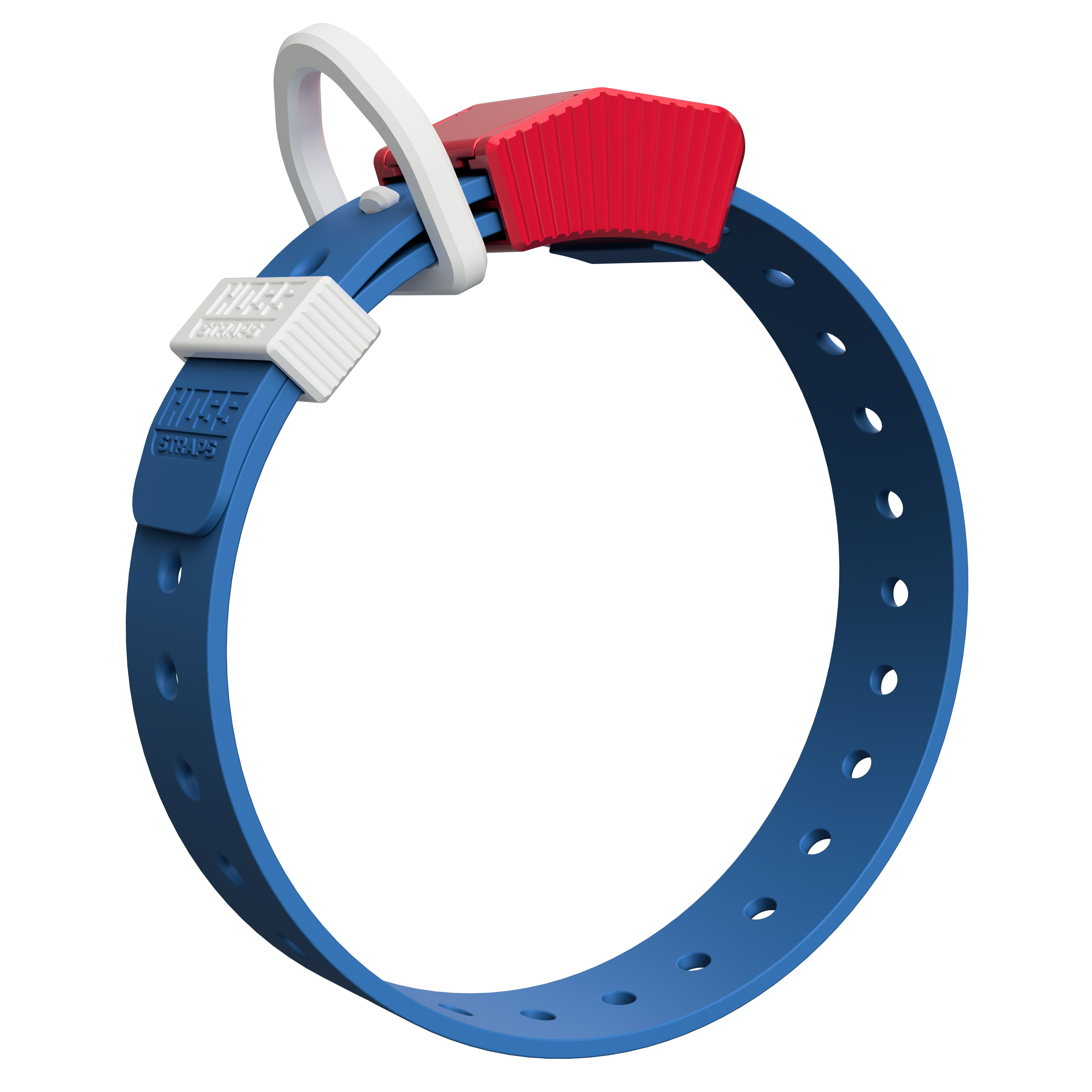 D-Ring Dog Collar