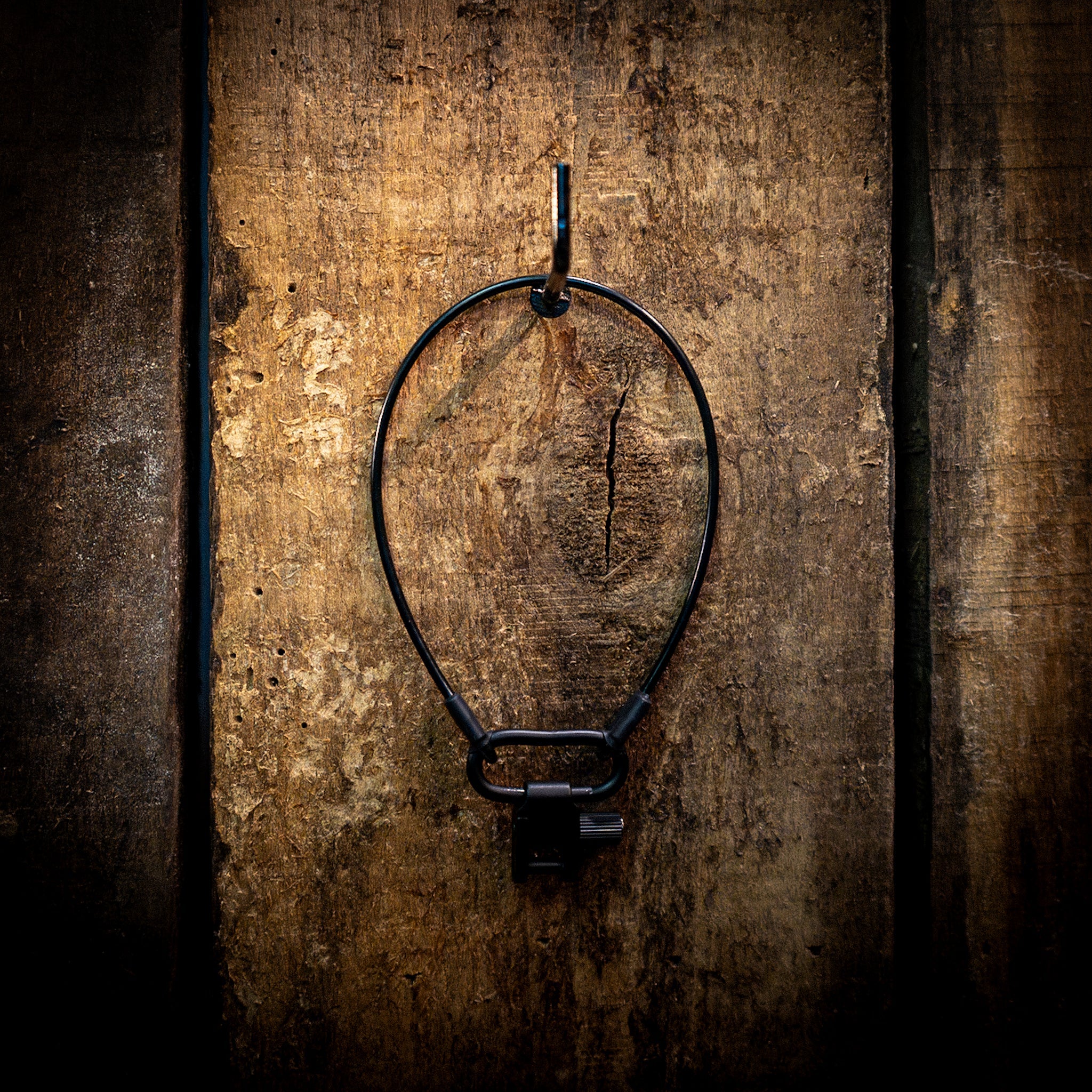 Timber Hook