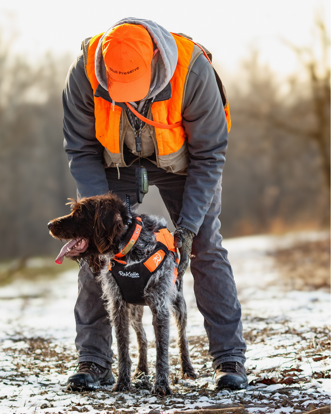 Person in orange hunting vest and cap with a upland dog wearing a rekoile brand upland dog vest on a snowy path