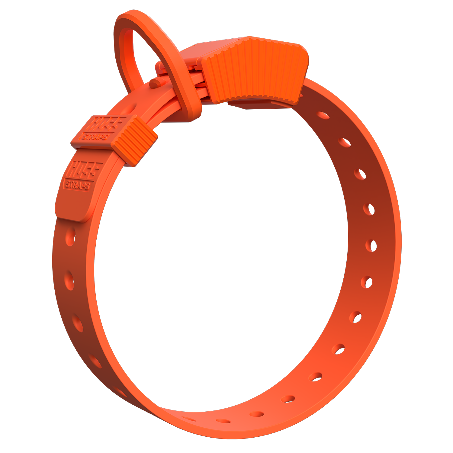 D-Ring Dog Collar