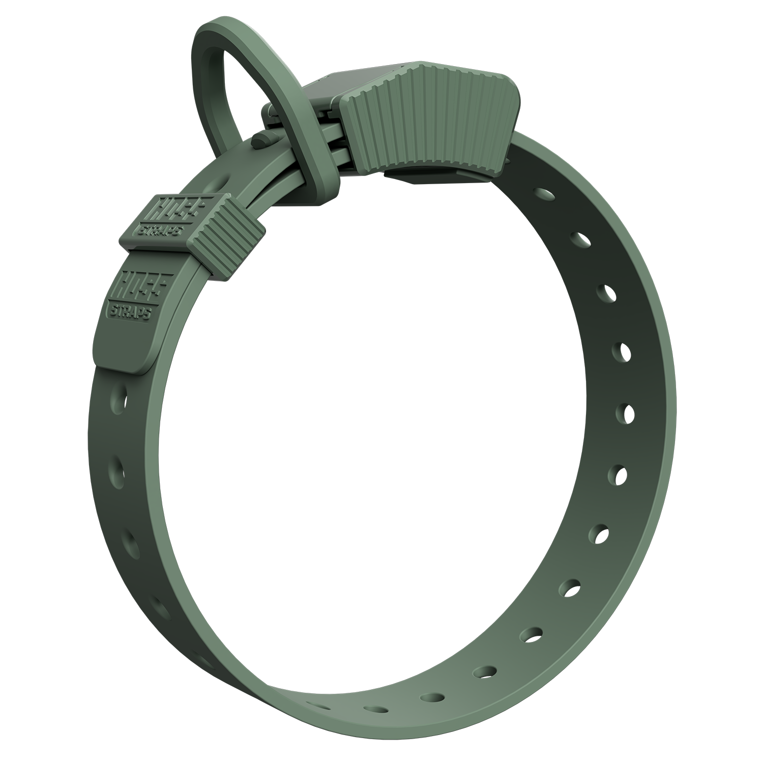 D-Ring Dog Collar