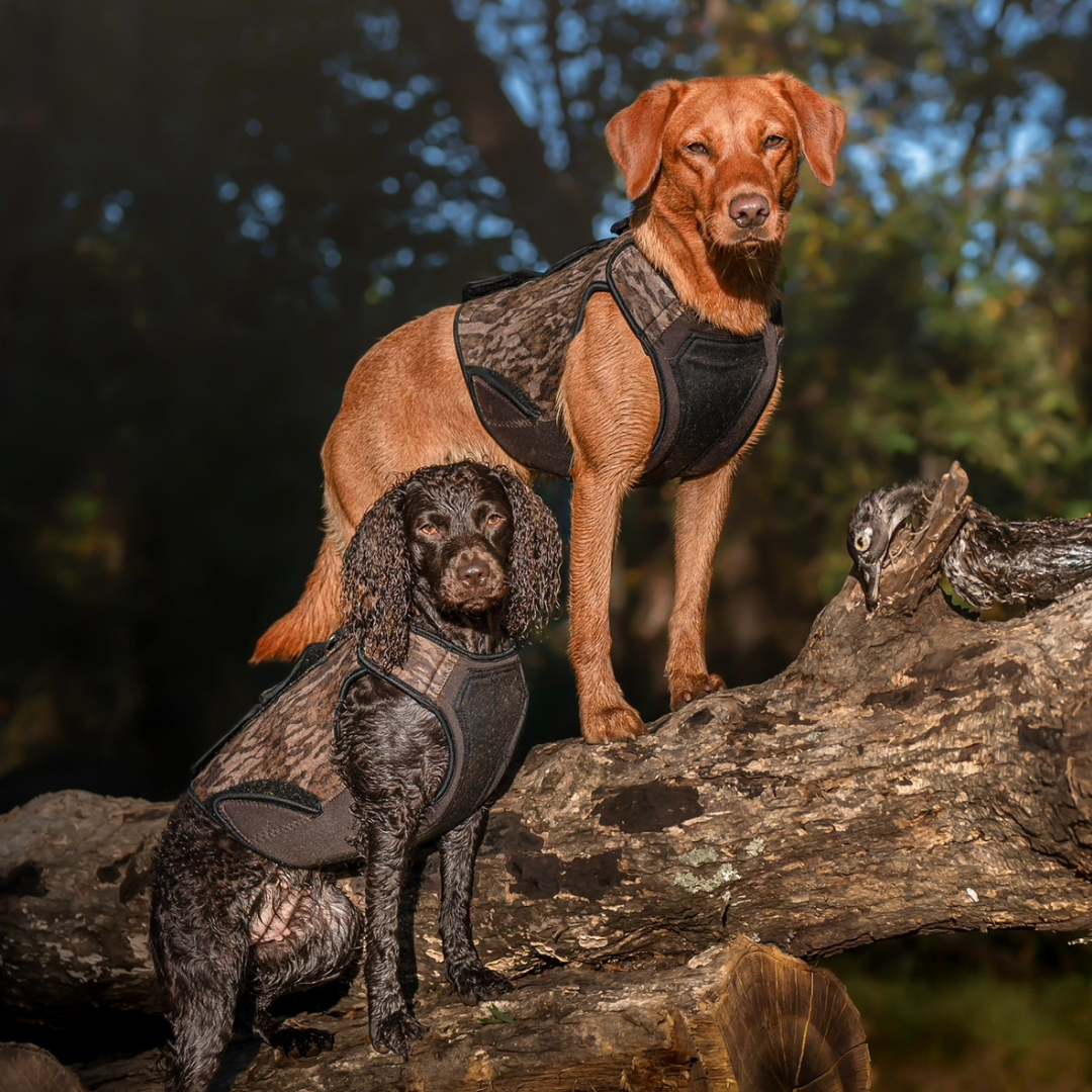 Two dogs wearing rekoile brand hunting vests standing on a log with a natural background.