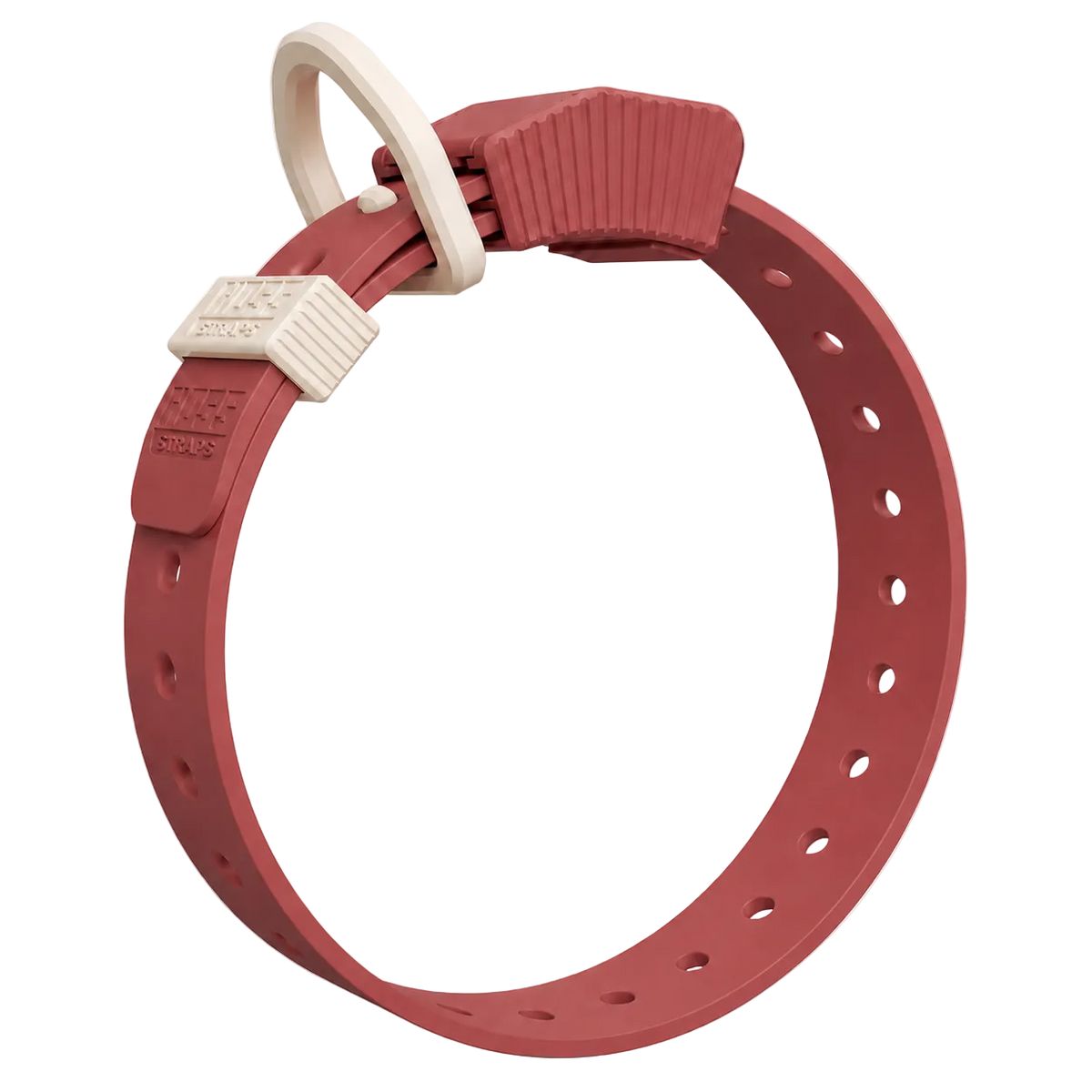 D-Ring Dog Collar